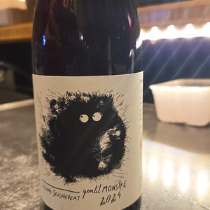 Gentil Monstre - Domaine Etienne Seignovert - etienne-seignovert