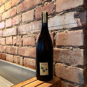 Traminer - Hanna Glatzer - hanna-glatzer -2022