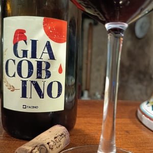 Giacobino - L'Acino - dino-briglio-nigro -2017