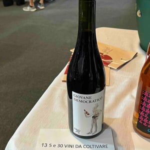 Giovane Democratico - 5e30 Vini da coltivare - emanuela-conversano-giovanni-pugliese