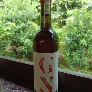 GN - Partida Creus - massimo-marchiori-antonella-gerosa -2022