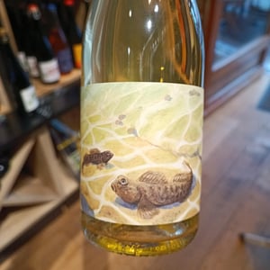 Gobiidae - Domani Tizh - nolwenn-runigo-et-roland-conq