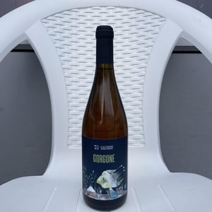 Gorgone - Azienda Agricola Gaudioso - antonio-rosa-gaudioso -2022