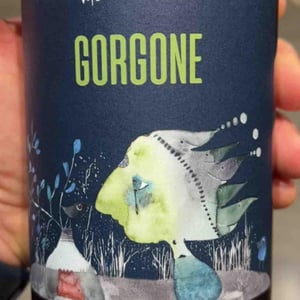 Gorgone - Azienda Agricola Gaudioso - antonio-rosa-gaudioso -2022