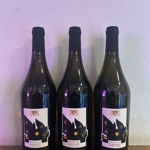 G.P.S. - Domaine Pignier - marie-florence-antoine-jean-etienne-pignier