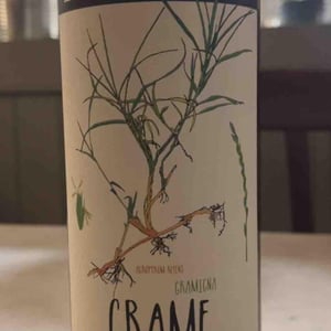 Grame - Società Agricola Silvano Ferlat - moreno-ferlat