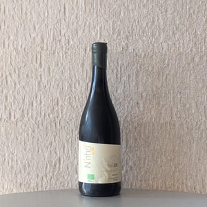 Grande Reserva Ribeira de Alvaz - Ninho da Pita - ninho-da-pita -2022