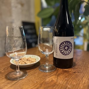 Grange De La Bénisson-Dieu Syrah - Domaine de La Bénisson-Dieu - regis-et-aude-reine-anouil