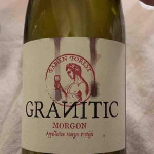 Granitic - Fabien Forest - fabien-forest