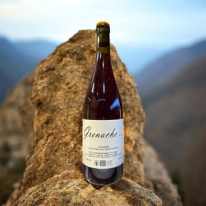 Grenache - Ugo Lestelle - ugo-lestelle -2024