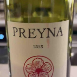 Grenache Vigne Du Mas - Martin Texier - martin-texier