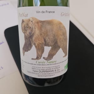 Grizzling - Anna, André & Yann Durrmann - anna-andre-yann-durrmann -2021