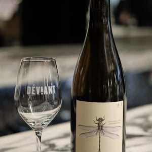 Grüne Libelle Plus - Weingut Andreas & Elisabeth Tscheppe - andreas-elisabeth-tscheppe -2022