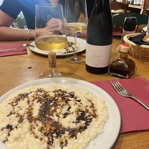 G&T - Milan Nestarec - milan-nestarec -2021