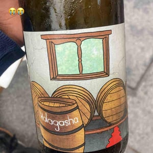 Halagasha - Intellego Wines - jurgen-gouws