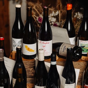 haut les cours - charlotte sonjon - charlotte-sonjon -2022