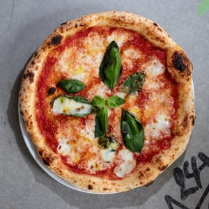 Her Majesty Margherita - PIZZA RIBELLE del MONTE OFELIO - 926259