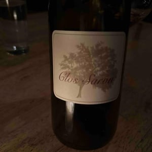 Home Vineyard Pinot Noir - Clos Saron - Gideon Bienstock