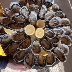 Huîtres Spéciales - Les embruns - 1298145