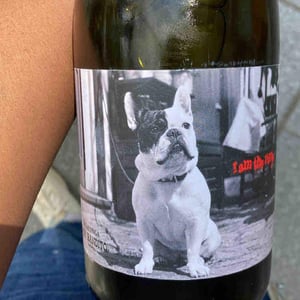 I Am The Ninja - Testalonga - craig-carla-hawkins