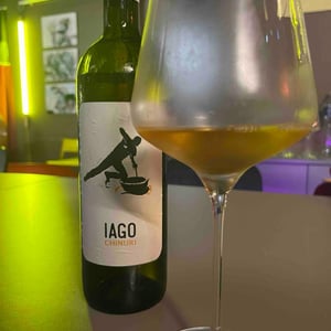 Iago Amber - Iago's wine - iago-bitarishvili -2022