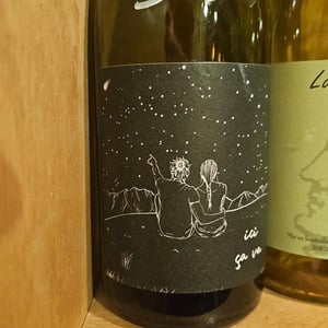 Ici ça Va - La Pensée Filante - louis-lange-lou-chigard