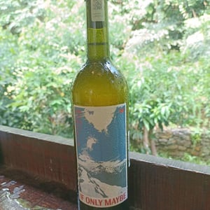 IF ONLY MAYBE - Momento Mori - dane-johns -2022