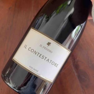 Il Contestatore - Il Pendio - michele-loda