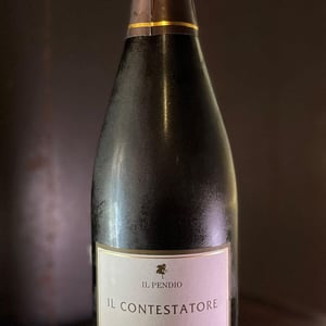 Il Contestatore - Il Pendio - michele-loda