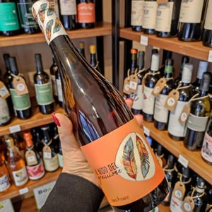 Il Nido del Gruccione - Tenuta Demaio - antonio-demaio