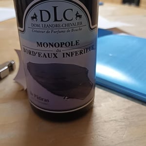 Île Pâtiras - Monopole du Bord'eaux Inferieur - Domaine Léandre-Chevalier - DLC - L'Homme-Cheval - dominique-leandre-chevalier-reto-erdin