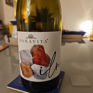 ILNO' - Azienda Agricola Bonavita - giovanni-scarfone