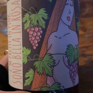 I’m Pink and i’m Proud - Les Vignes de Yavanna - julie-escaillet-charles-busnel -2022