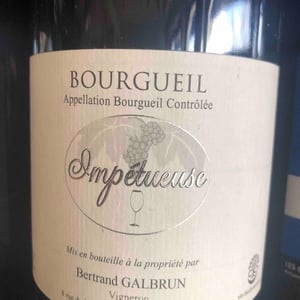 Impetueuse - Bertrand Galbrun - bertrand-galbrun -2019