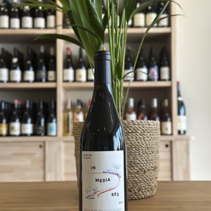In Media Res - Domaine Le Bars - gwennaelle-le-bars -2021