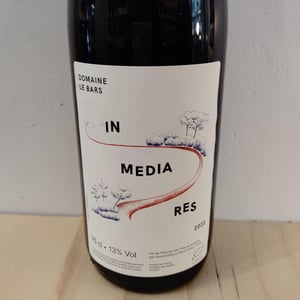 In Media Res - Domaine Le Bars - gwennaelle-le-bars -2021