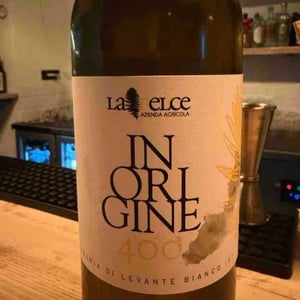 In origine 400 - Le Felce - Andrea Marcesini