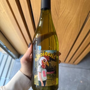 Indigène Muscadet - Le Clos des Treilles - nicolas-reau