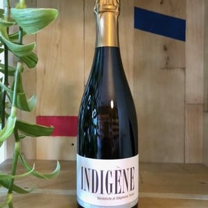 Indigene - Domaine André & Mireille Tissot - benedicte-stephane-tissot