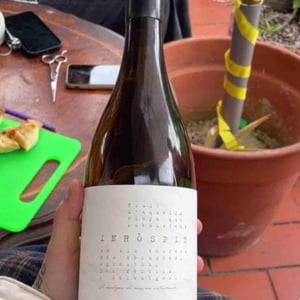 Inhositp - Sitges - cellers-alsina -2022