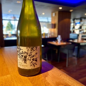 Into the White - Mas Foulaquier - pierre-jequier-blandine-chauchat -2025