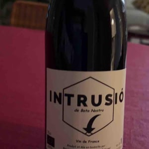 Intrusio’ - Bota nostra - Raymond Manchon -2023