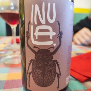 Inula Rosso - Inula - filippo-cattaneo-giulia-cecchelin