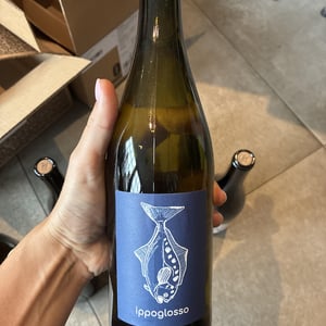 Ippoglosso - Thibault Stephan - thibault-stephan