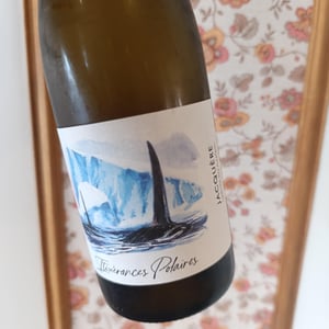 Itinérance Polaires - Domaine des Albatros - julien-cartier