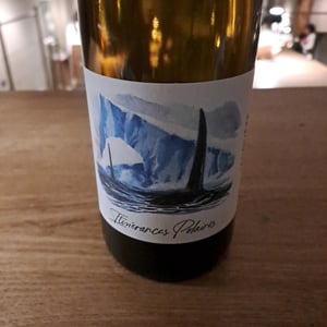 Itinérance Polaires - Domaine des Albatros - julien-cartier