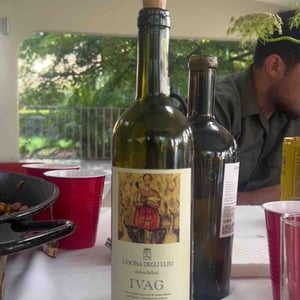 Ivag - Cascina degli Ulivi - ilaria-bellotti