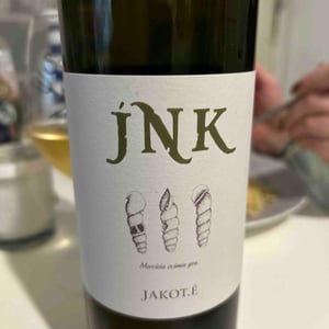 Jakot.E - JNK - kristina-boleslav-mervic