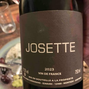 Josette - Nicolas Carmarans - Nicolas Carmarans -2021