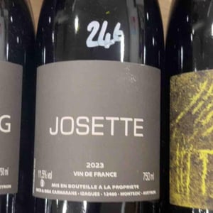 Josette - Nicolas Carmarans - nicolas-carmarans -2021